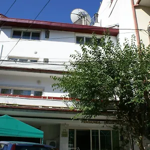 Pensiunea Helvetia Guest house